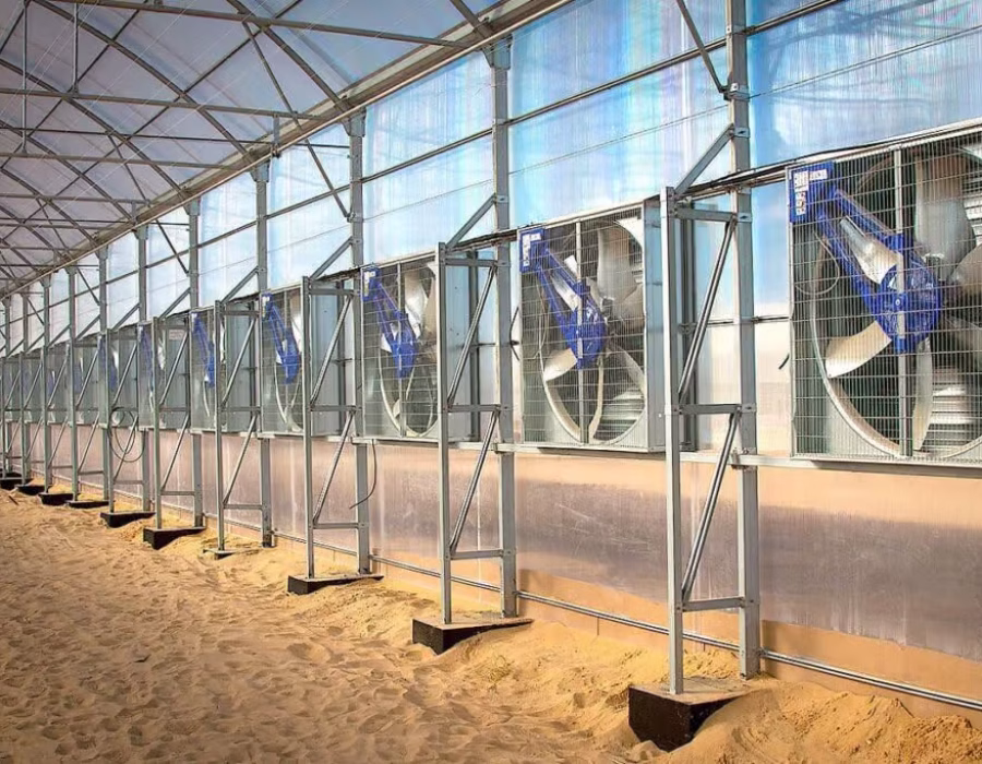 WhatsApp-Image-2020-01-16-at-9.12.49-AM-1024x683