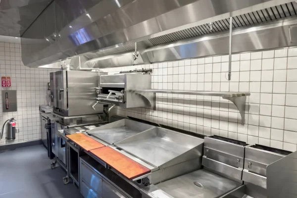 industrial-cocina_waifu2x_art_noise1_scale